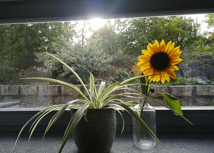 Ferienwohnung Morgenlicht